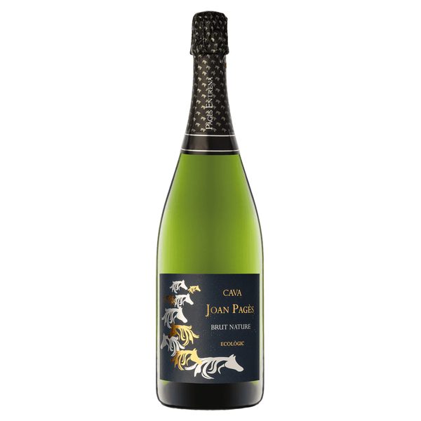 Joan Pagès Cava